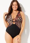 Center Ring Plunge One Piece Swimsuit, , alternate image number 2
