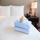 Bed Tite&trade; COOLMAX&reg; Sheet Set image number 4