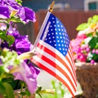 Set of 12 American Flag Sticks image number null