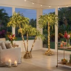 6' Pre-lit Single Palm Tree image number null