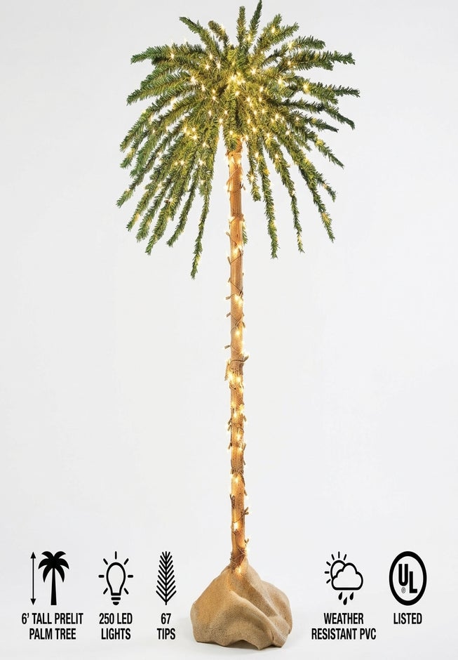 6' Pre-lit Single Palm Tree image number 8