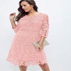 Lace Fit & Flare Dress image number null