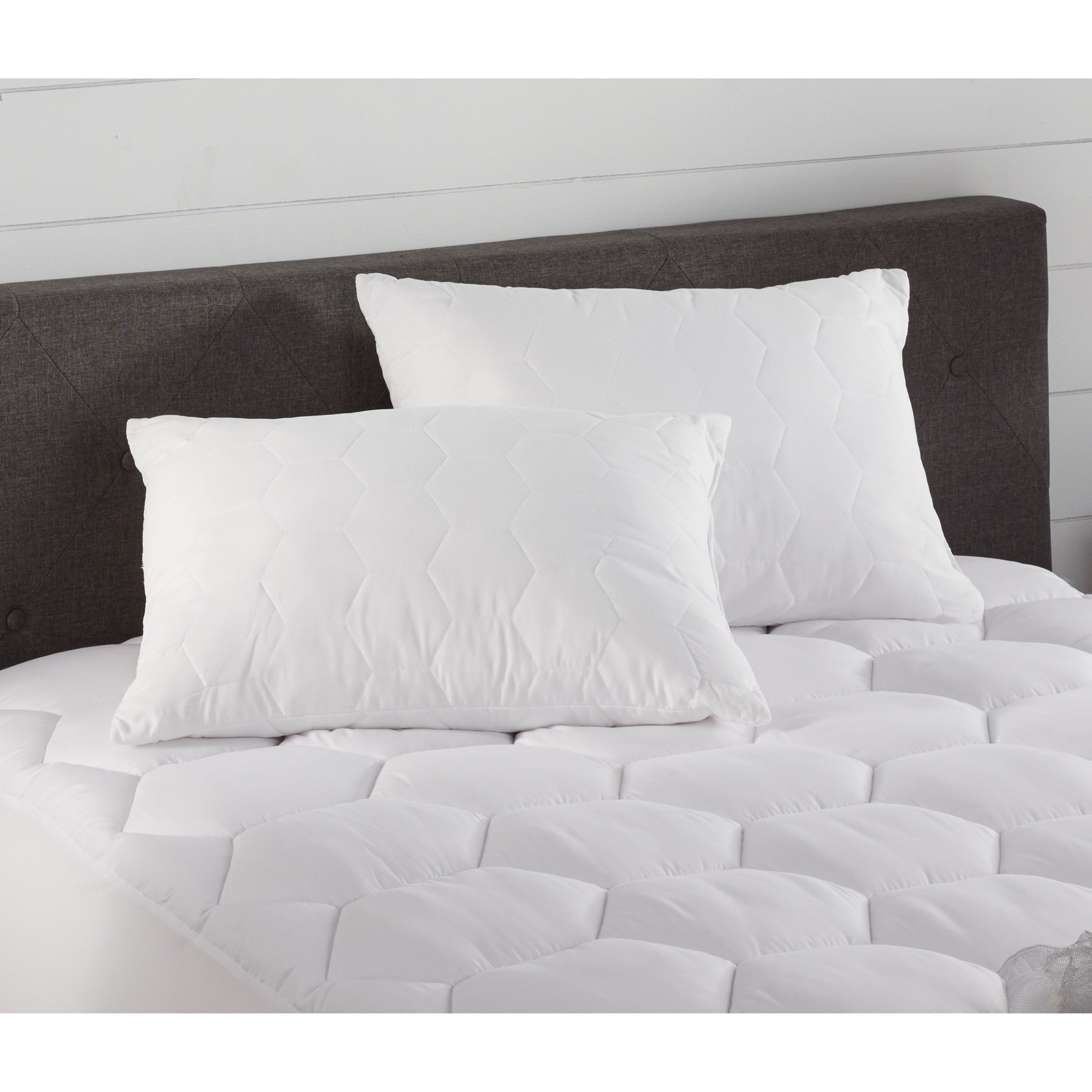 COOLMAX&reg; Pillow 2-Pack image number 0