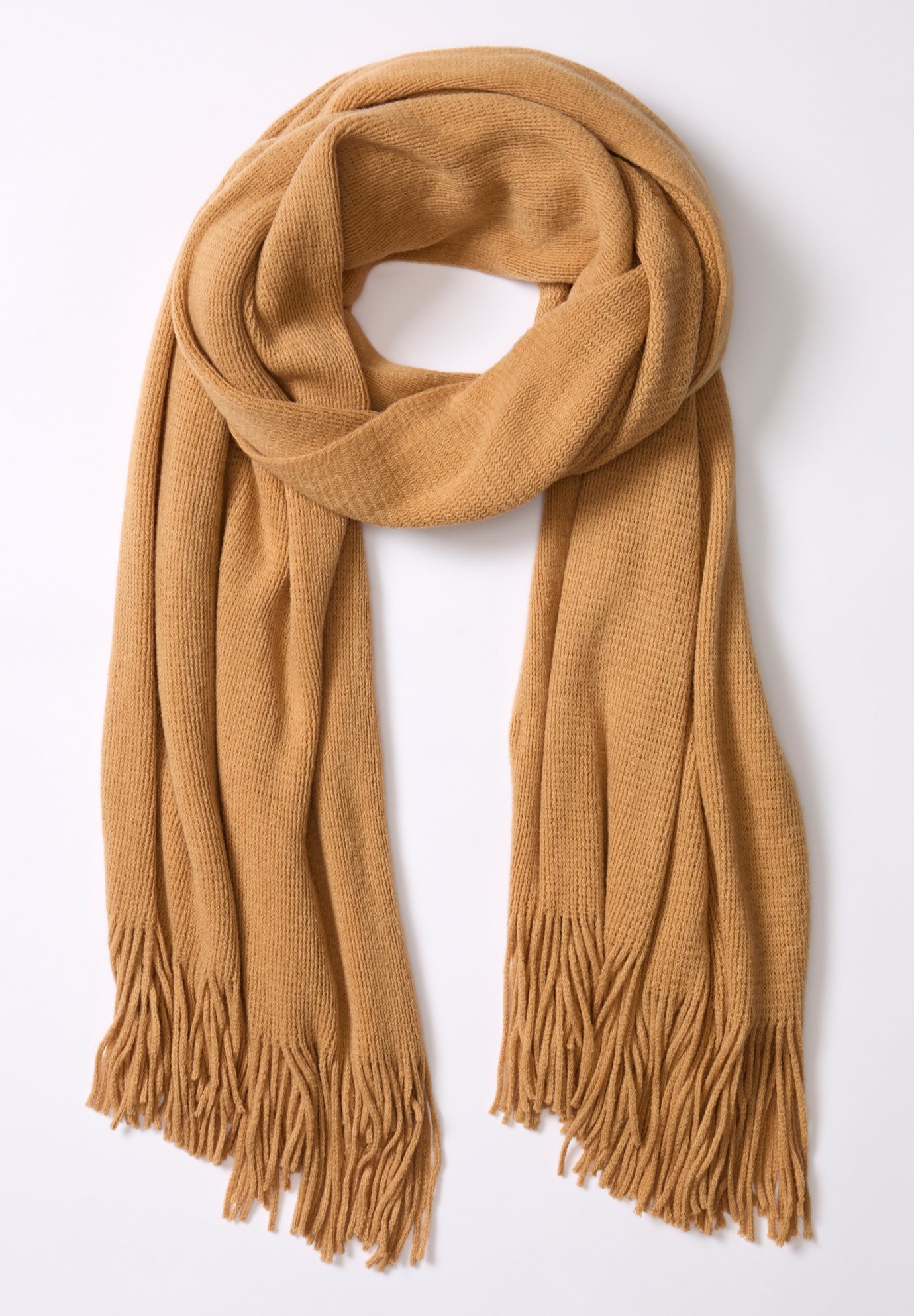 Pashmina Shawl image number 1