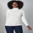 Ribbed Cotton Turtleneck Sweater image number null