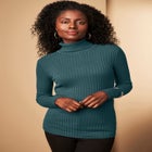 Ribbed Cotton Turtleneck Sweater image number null