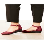 The Aurelia Pump image number null