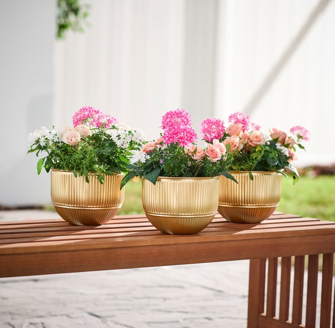 Set of 3 Ribbed Planters image number 0