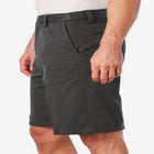 Wrinkle-Free Expandable Waist Plain Front Shorts image number null