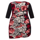 Chelsea Placement Dress image number 4