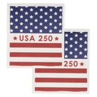  6-PAmericana Swedish Sponge Cloth Set image number 1