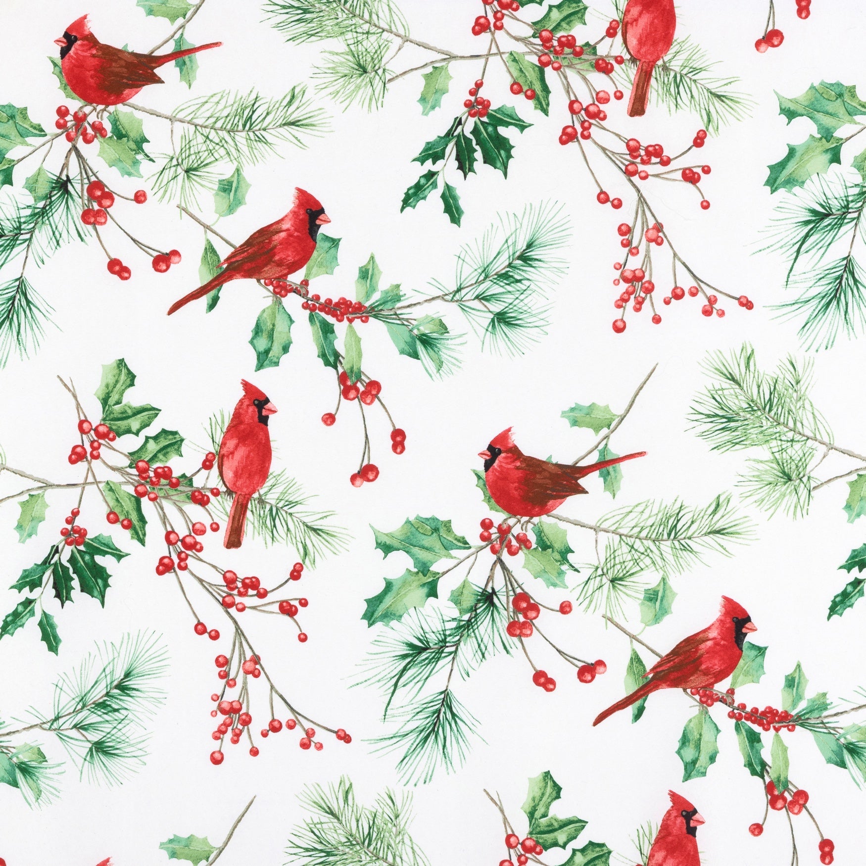 Cardinal image number 3