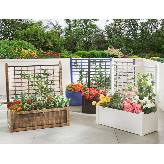 Flower Box With Trellis image number 3