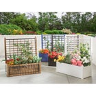 Flower Box With Trellis image number null