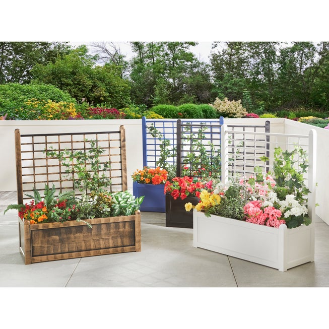 Flower Box With Trellis image number 0