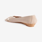 The Orion Pump image number null