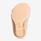 The Orion Pump image number null