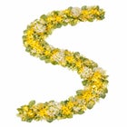 Pre-Lit Citrus Grove 6' Garland  image number null
