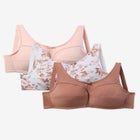 3-Pack Wireless Light Support Cotton Bra image number 2
