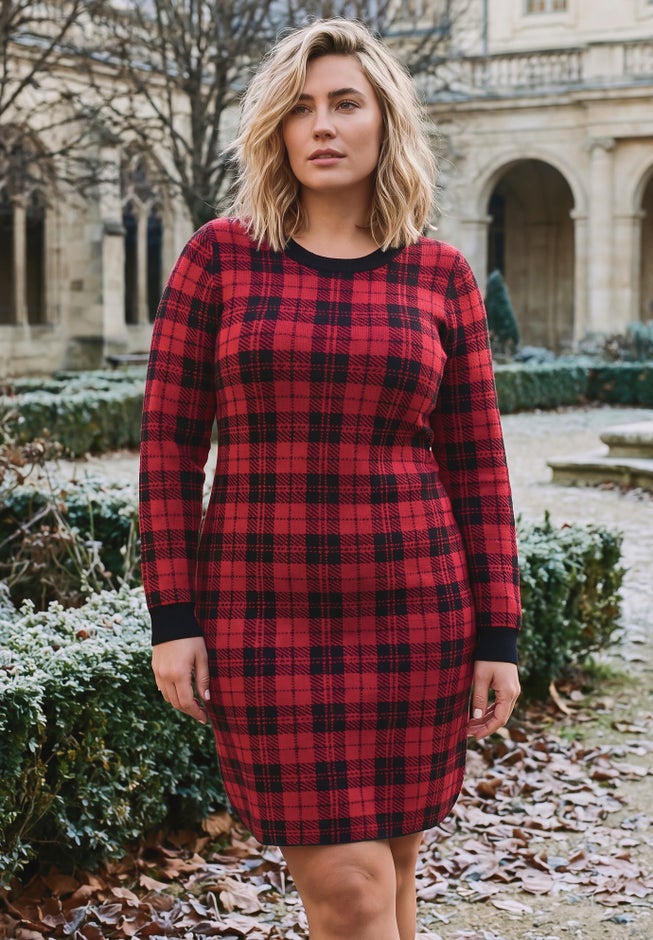 Calista Crewneck Sweater Dress image number 1