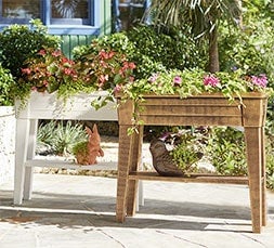 shop Raised Planter